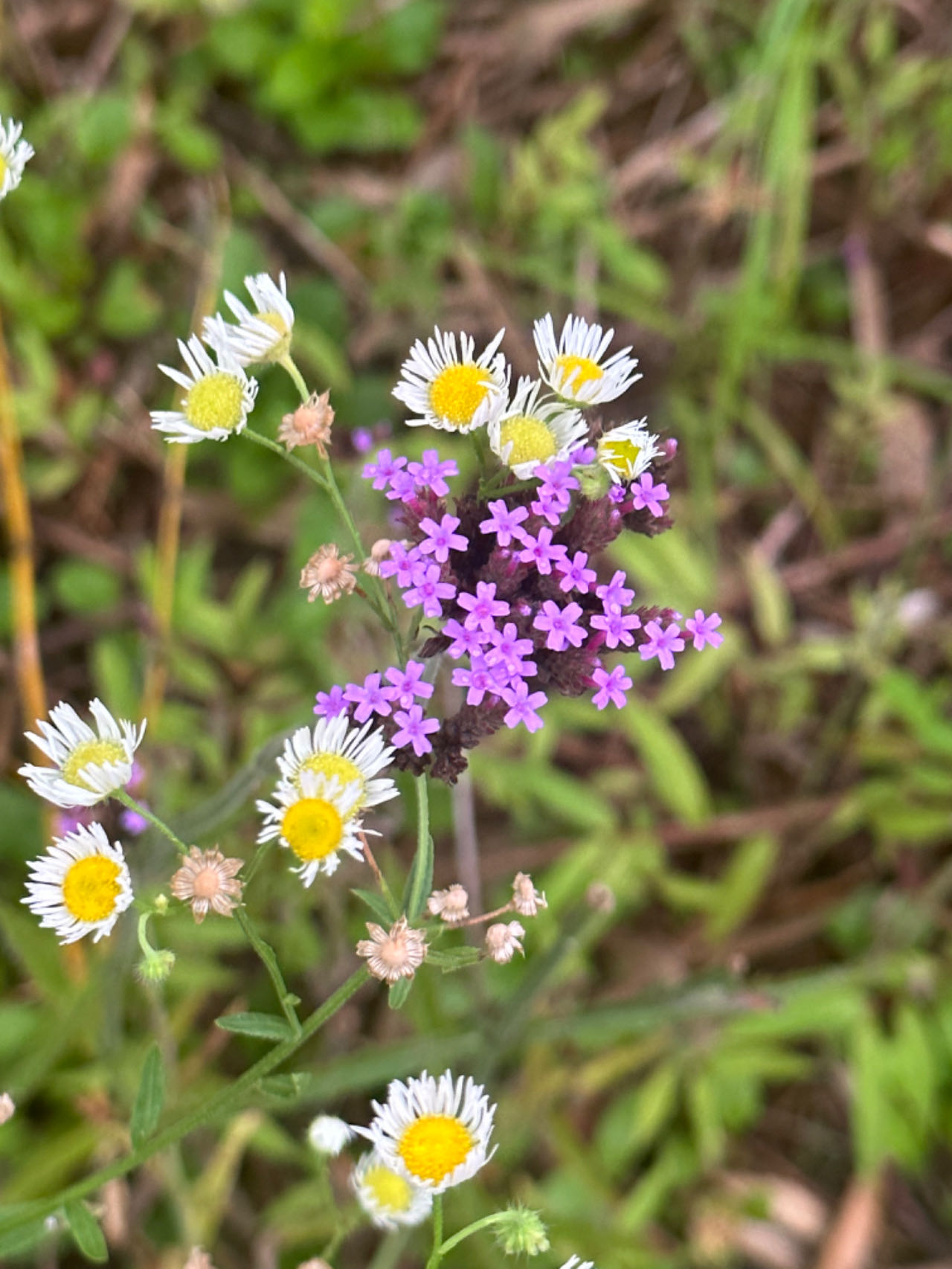 微信图片 20251027162056 189 72